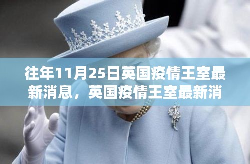 英國疫情王室聚焦,往年11月25日的三大要點解析與最新消息回顧