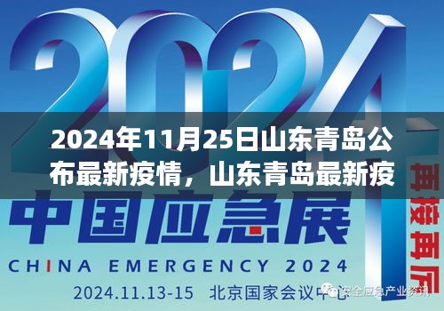 山東青島疫情最新動態解析與數據深度剖析(2024年11月25日公布)