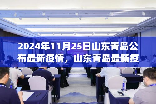 山東青島疫情最新動態解析與數據深度剖析(2024年11月25日公布)