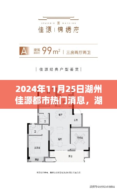 湖州佳源都市獨家爆料,揭秘震撼消息一網打盡!