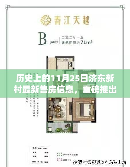 歷史上的11月25日濟東新村房源新動態與最新售房信息大揭秘