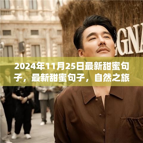 最新甜蜜句子與心靈之旅,尋找寧靜微笑的自然之旅(2024年11月25日)