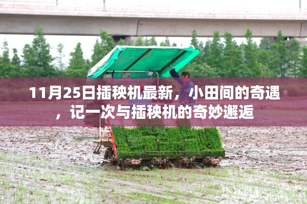 記一次與最新插秧機(jī)的奇妙邂逅,小田間的奇遇