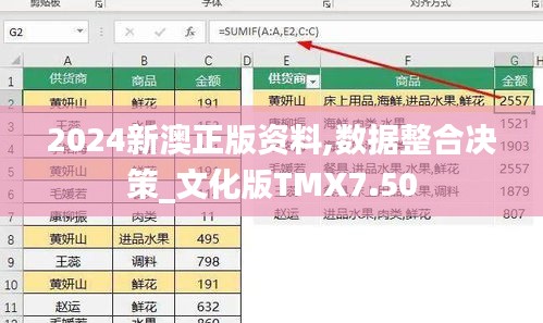 2024新澳正版資料,數據整合決策_文化版TMX7.50