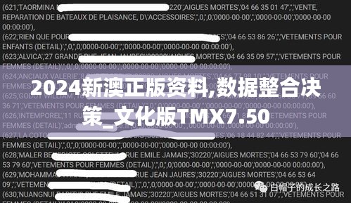2024新澳正版資料,數據整合決策_文化版TMX7.50