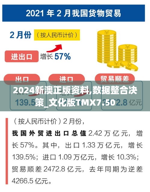 2024新澳正版資料,數據整合決策_文化版TMX7.50