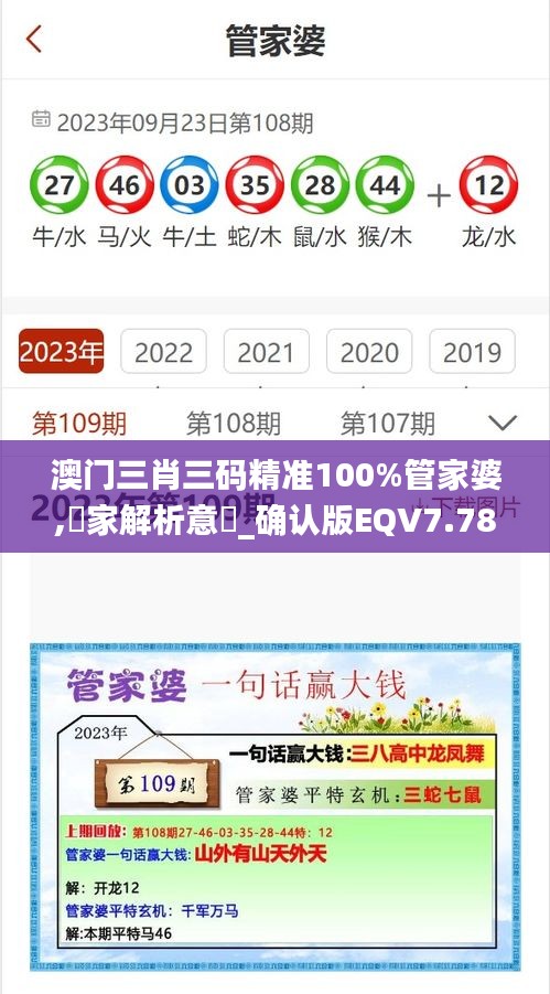 澳門三肖三碼精準100%管家婆,專家解析意見_確認版EQV7.78