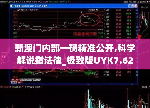 新澳門內部一碼精準公開,科學解說指法律_極致版UYK7.62
