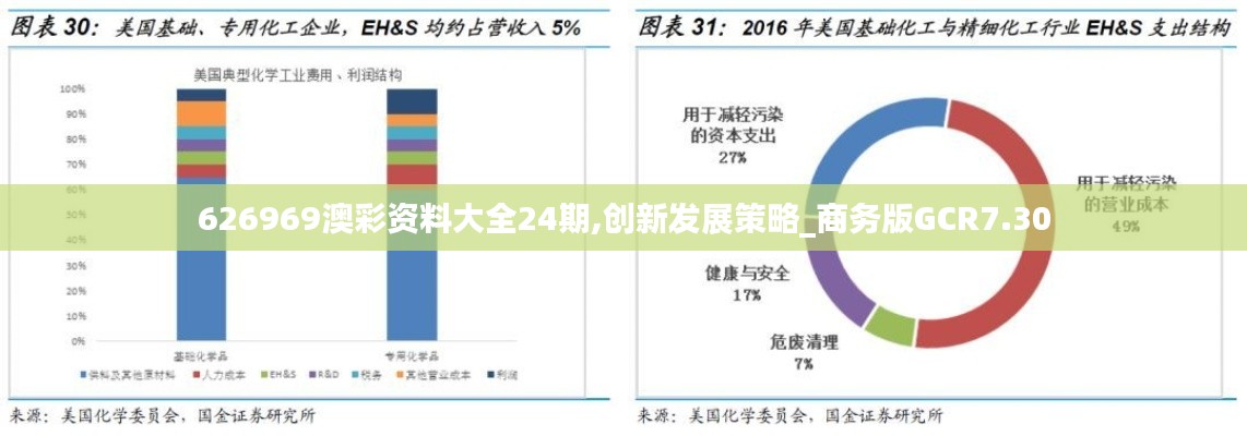 626969澳彩資料大全24期,創新發展策略_商務版GCR7.30
