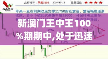 新澳門王中王100%期期中,處于迅速響應執行_穩定版ILX7.60