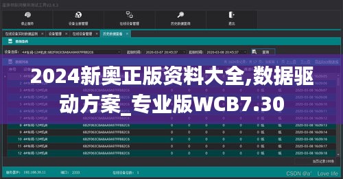 2024新奧正版資料大全,數據驅動方案_專業版WCB7.30