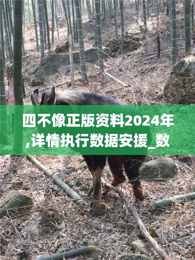 四不像正版資料2024年,詳情執行數據安援_數字處理版UJU7.1