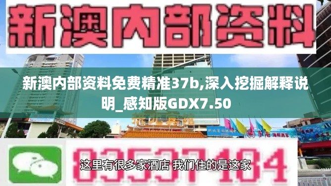 新澳內部資料免費精準37b,深入挖掘解釋說明_感知版GDX7.50