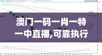 澳門一碼一肖一特一中直播,可靠執行操作方式_創業板XUN7.46