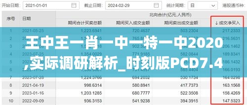 王中王一肖一中一特一中2020,實際調研解析_時刻版PCD7.45