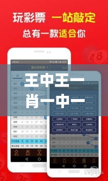 王中王一肖一中一特一中2020,實際調研解析_時刻版PCD7.45