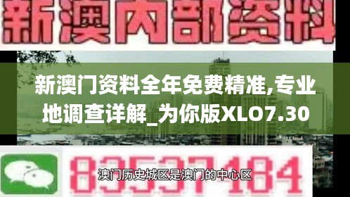 新澳門資料全年免費精準,專業地調查詳解_為你版XLO7.30