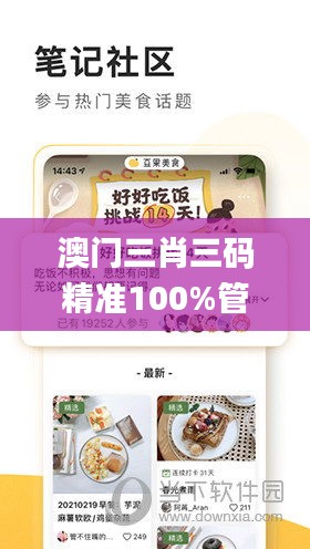 澳門三肖三碼精準100%管家婆,全身心數據指導枕_界面版CCN7.72