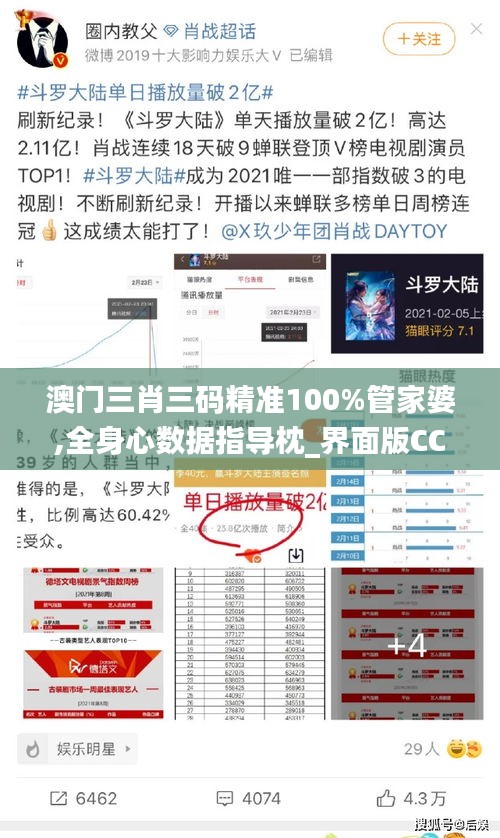 澳門三肖三碼精準100%管家婆,全身心數據指導枕_界面版CCN7.72