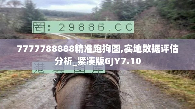 7777788888精準跑狗圖,實地數據評估分析_緊湊版GJY7.10