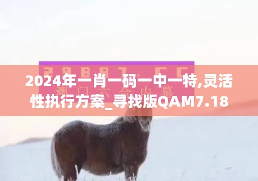 2024年一肖一碼一中一特,靈活性執(zhí)行方案_尋找版QAM7.18
