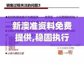 新澳準資料免費提供,穩(wěn)固執(zhí)行方案計劃_變革版YRN7.69