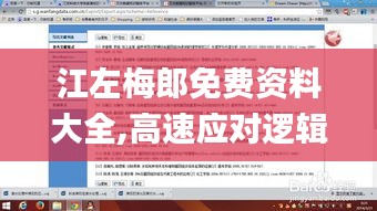 江左梅郎免費資料大全,高速應對邏輯_護眼版HJV7.41