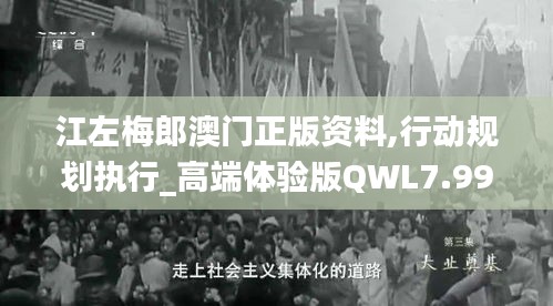 江左梅郎澳門正版資料,行動規劃執行_高端體驗版QWL7.99