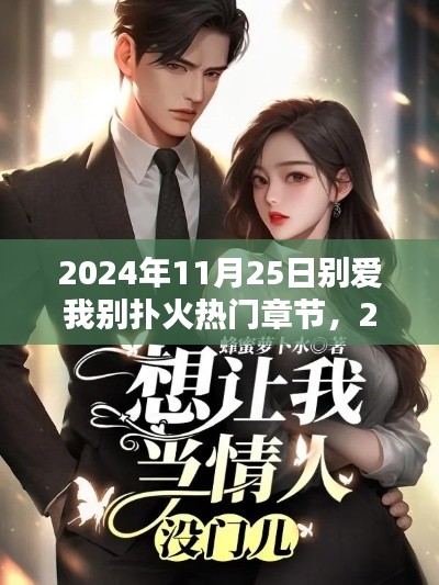 別愛我別撲火熱門章節深度評測與介紹（2024年11月25日）