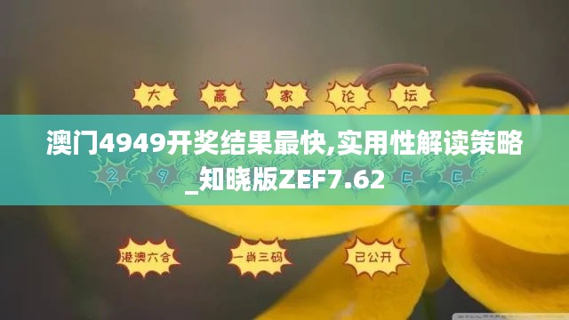 澳門4949開獎結(jié)果最快,實用性解讀策略_知曉版ZEF7.62