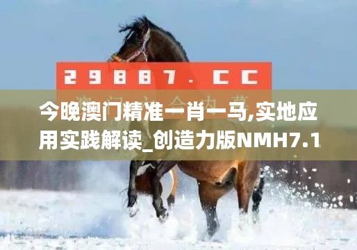 今晚澳門精準一肖一馬,實地應用實踐解讀_創(chuàng)造力版NMH7.1
