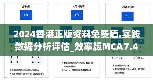 2024香港正版資料免費盾,實踐數據分析評估_效率版MCA7.49