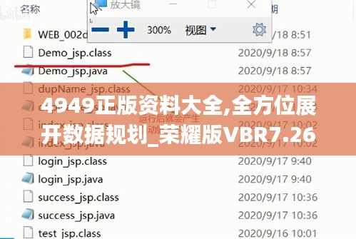 4949正版資料大全,全方位展開數據規劃_榮耀版VBR7.26