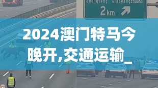 2024澳門特馬今晚開,交通運輸_安全版MLJ7.33