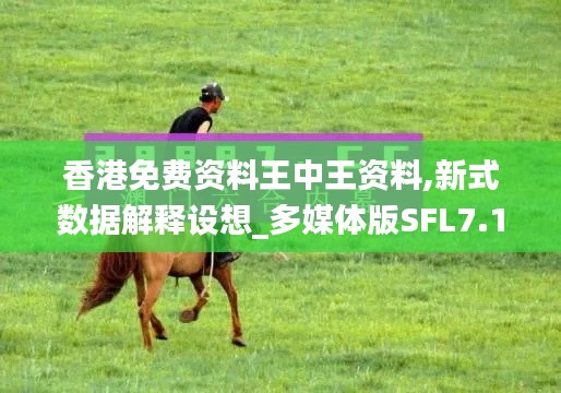 香港免費資料王中王資料,新式數據解釋設想_多媒體版SFL7.17