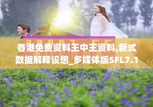 香港免費資料王中王資料,新式數據解釋設想_多媒體版SFL7.17