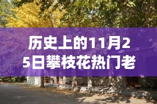 探秘攀枝花小巷傳奇老賴店，歷史與美食的雙重魅力之旅（附日期揭秘）