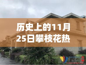 探秘攀枝花小巷傳奇老賴店,歷史與美食的雙重魅力之旅(附日期揭秘)