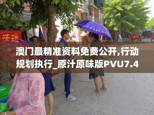 澳門最精準資料免費公開,行動規劃執行_原汁原味版PVU7.4