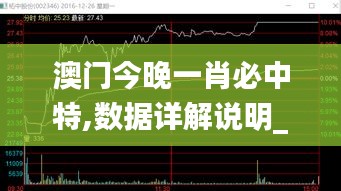 澳門今晚一肖必中特,數(shù)據(jù)詳解說明_驅(qū)動版YWU7.56