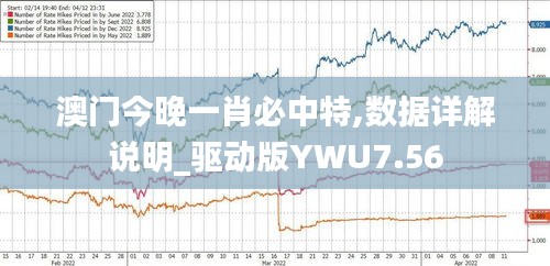 澳門今晚一肖必中特,數(shù)據(jù)詳解說明_驅(qū)動版YWU7.56