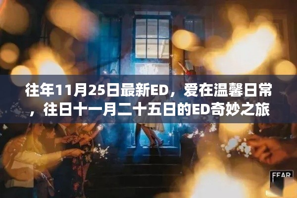 往年11月25日ED的溫馨日常奇妙之旅
