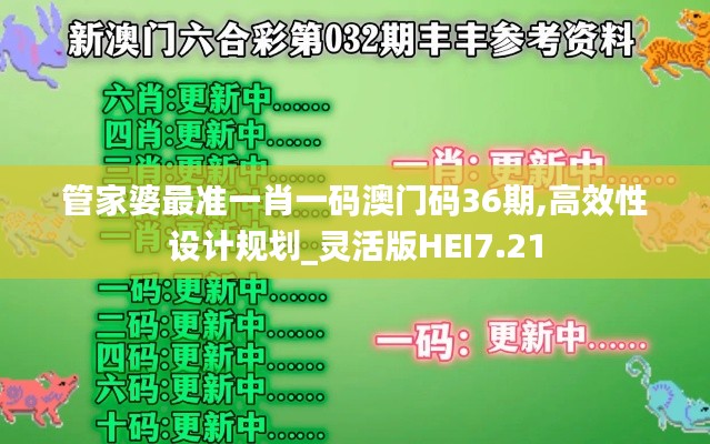 管家婆最準一肖一碼澳門碼36期,高效性設(shè)計規(guī)劃_靈活版HEI7.21