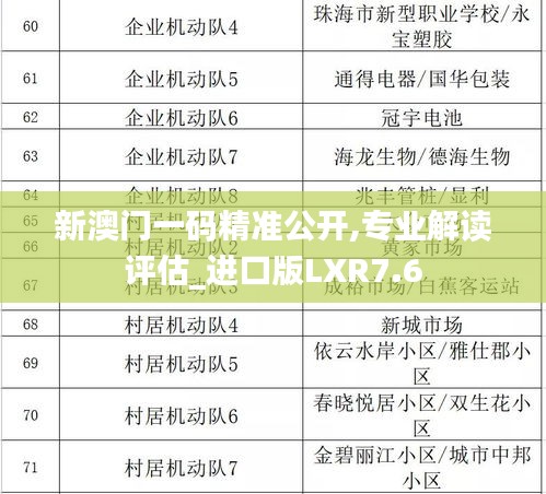 新澳門一碼精準公開,專業解讀評估_進口版LXR7.6
