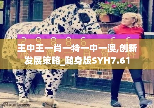 王中王一肖一特一中一澳,創新發展策略_隨身版SYH7.61