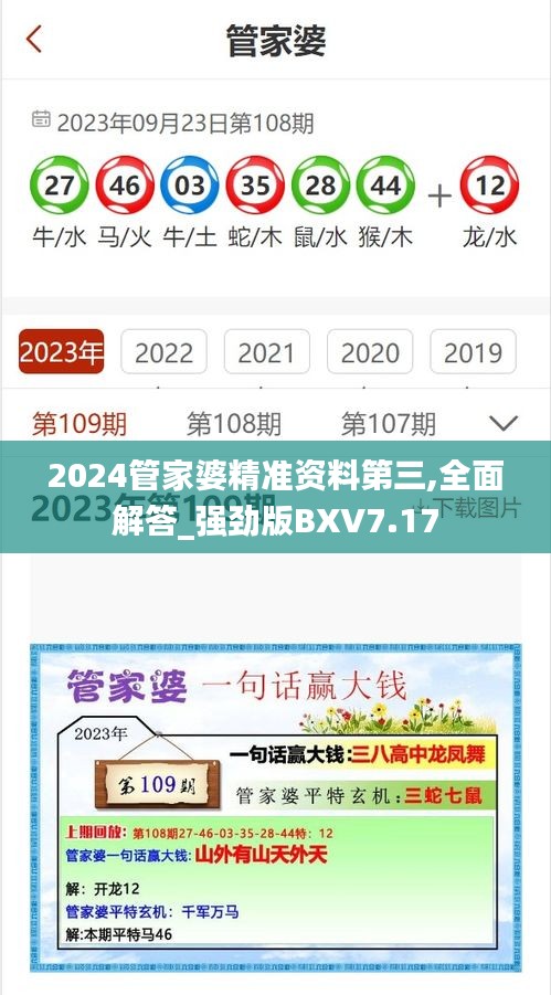 2024管家婆精準資料第三,全面解答_強勁版BXV7.17