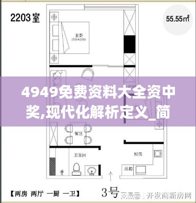 4949免費資料大全資中獎,現代化解析定義_簡易版DER7.32