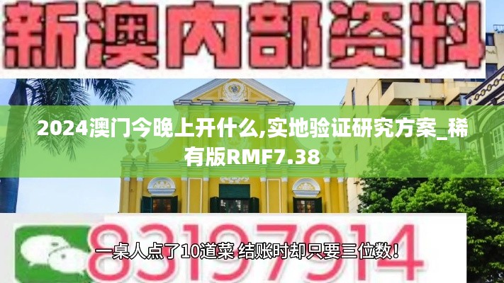 2024澳門今晚上開什么,實地驗證研究方案_稀有版RMF7.38