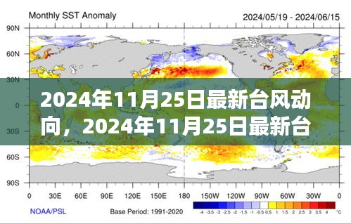 2024年11月25日最新臺風動向深度解析