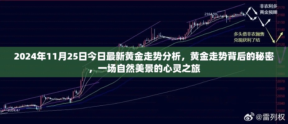 揭秘黃金走勢背后的秘密,自然美景的心靈之旅(最新黃金走勢分析)